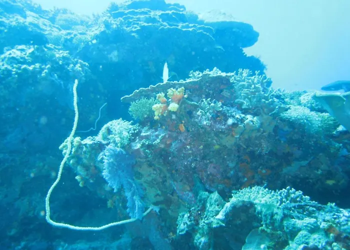 Kawans Inn Lembongan